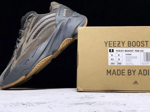 Yeezy EG6860 Boost 700 Geode v2 Adidas 1204